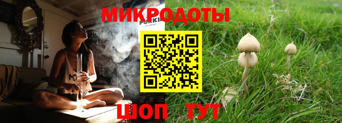 наркотики  Вход с VPN  Галлюциногенные грибы Psilocybine cubensis  Кохма  Галлюциногенные грибы Psilocybine cubensis 